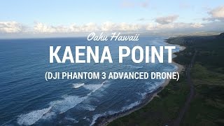 Still from Kaena Point (Oahu Hawaii) via DJI Phantom 3 Drone