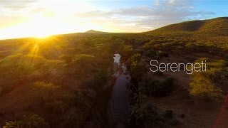 Still from BeetleCopter in the Serengeti