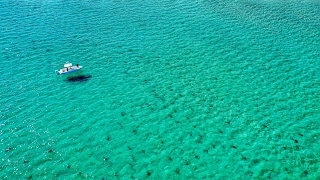 Still from Florida Shark Migration by Drone!!! | DJI Mavic Pro | Amazing 4K Footage